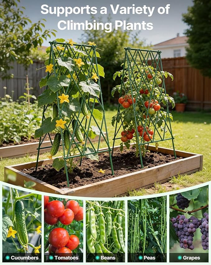 Suteck Cucumber Trellis 39.2 2 Pack A-Frame – Foldable Metal Garden Trellis for Cucumbers Peas Beans &amp Climbing Plants No Assembly Required Plant Support Ideal for Raised Beds Patios &amp B