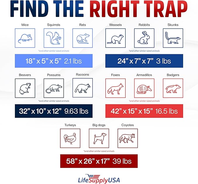 24 Humane Cat Trap for Stray Cats Collapsible Live Animal Cage for Feral Kittens Possum Raccoon Rabbit Armadillo Trap Catch and Release by LifeSupplyUSA