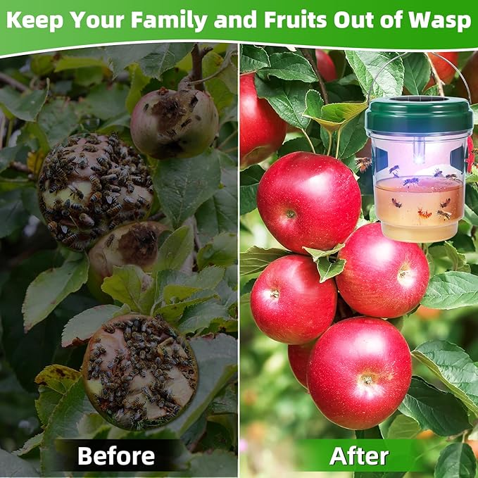 4 Pack Solar Powered Lighted Wasp Trap Outdoor Hanging Hornet Bee Effective Wasp Bee Repellent with Attraction Light
