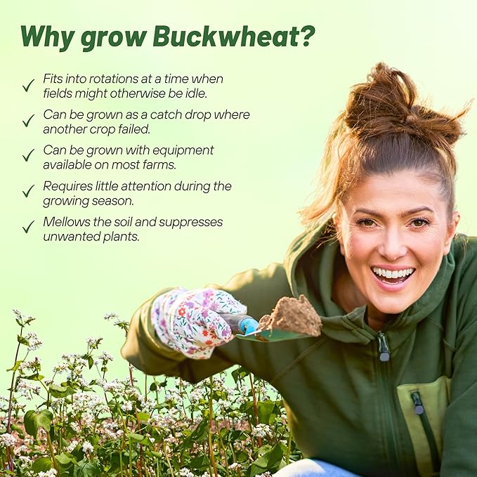 Outsidepride Buckwheat Seeds - 10lbs Annual Fast-Growing Easy to Grow Buckwheat Cover Crop Seeds for Green Manure Bee Pasture &amp Pollinators Wildlife Habitat Soil Improvement and Erosion Cont