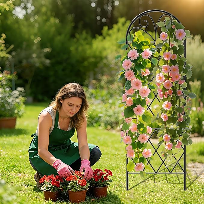 Garden Trellis for Climbing Plants 3 Pack 38 Wx 64.6 H Rustproof Flower Trellis with Black Coating Outdoor Climbing Rose Trellis Cucumbers Support for Courtyards Lawns (Diamond-Shaped Grid)