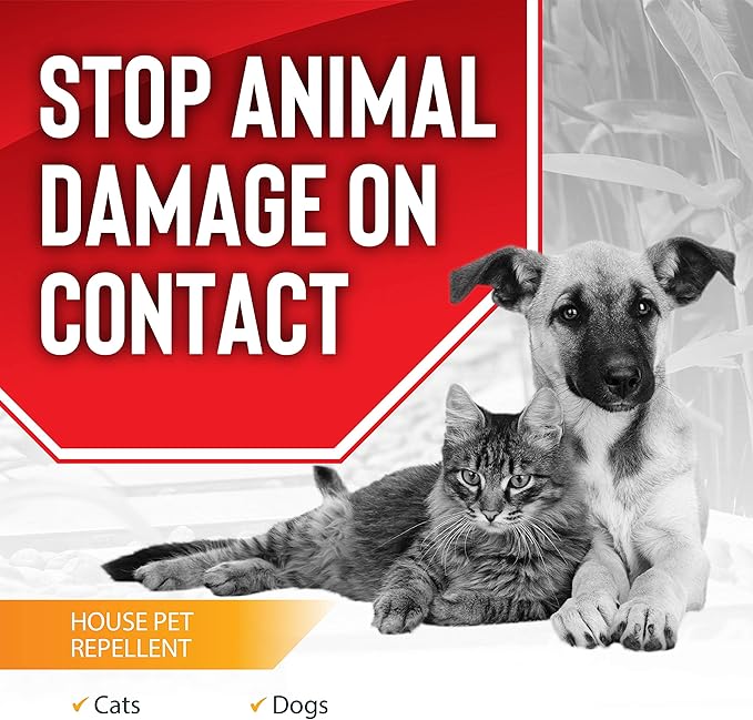 Animal Stopper Granular Animal Repellent All Natural Effective All Year Round Safe for People and Pets No Harsh Chemicals Ready to Use Garden Animal Repellent - 5 lb. Shaker Jug