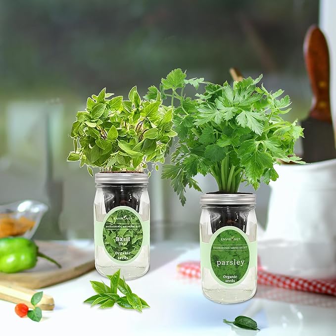 2-Pack Hydroponic Mason Jar Herb Garden Kit Indoor Herb Garden Self-Watering Starter Kit (Thai BasilParsley)