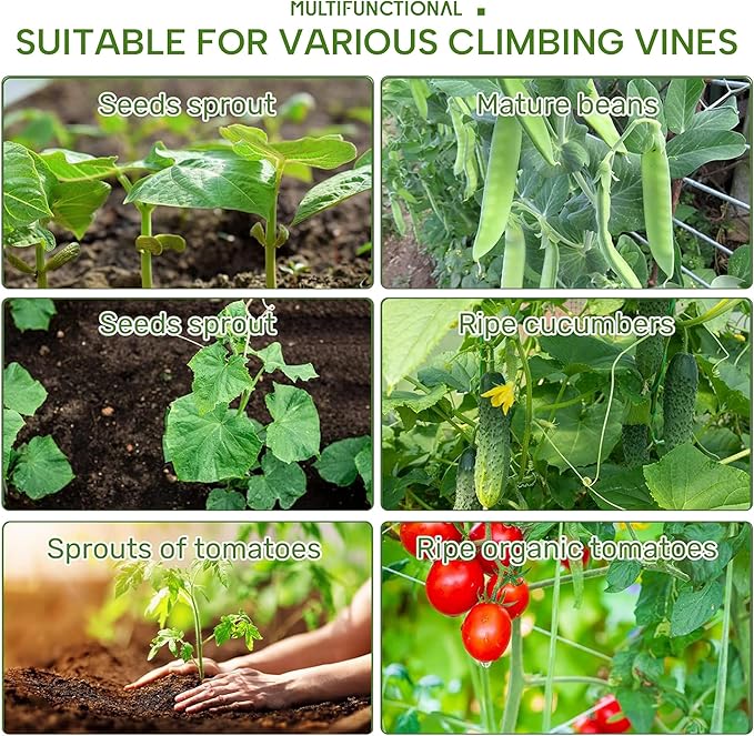 HPC Decor Cucumber Trellis for Raised Bed 6 FT Tall Garden Trellis for Climbing Plant Outdoor Metal A Frame Trellis with Climbing Net Support for Vegetable Grape Tomato Peas Fruit Vine.