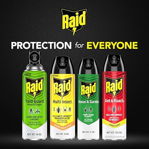 Raid Multi Insect Killer Aerosol Kills Ants Spiders Roaches and Flies No Lingering Chemical Odor Indoor and Outdoor Use 15 Ounce (Pack of 3)