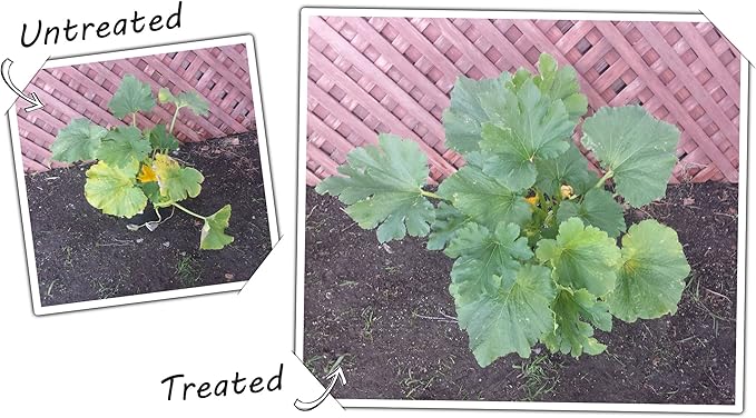 Remix Pre-Plant Soil Boost For Pots &amp Raised Beds 6 Pound - Treats 1.5 cuft of Soil