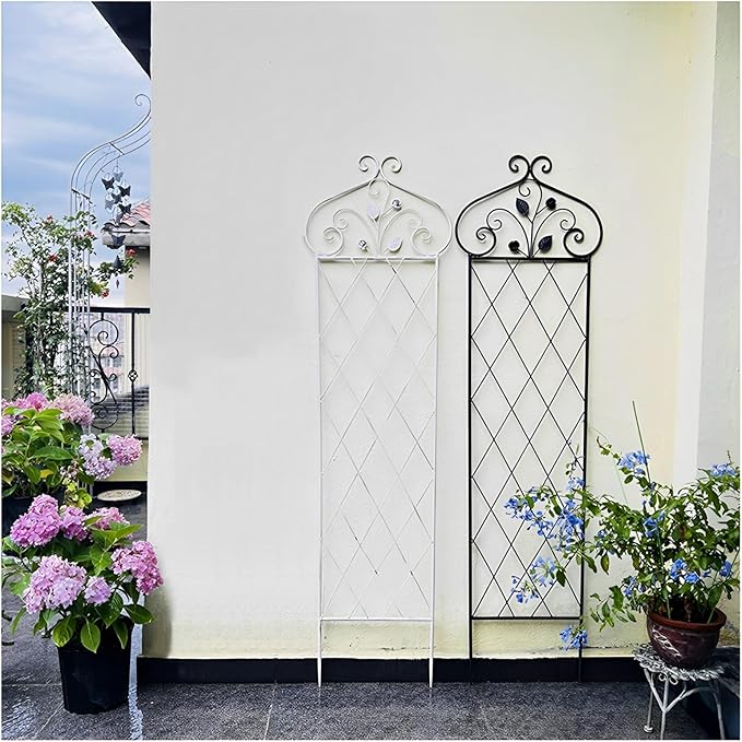 2 Pack Metal Garden Grille Plant Garden Trellis Plant Display 110x36cm/43x14in for Tomatoes Vegetables Flowers Fruits Black/White(Color:Black)