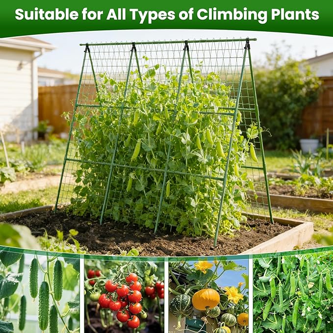 Cucumber Trellis for Raised Bed 48 L x 48 H 2 Pack A-Shape 11mm Garden Trellis for Climbing Plants Outdoor Metal Arch Trellis for Vegetables Plant Support for Tomato Pea Zucchini Grape Flowers