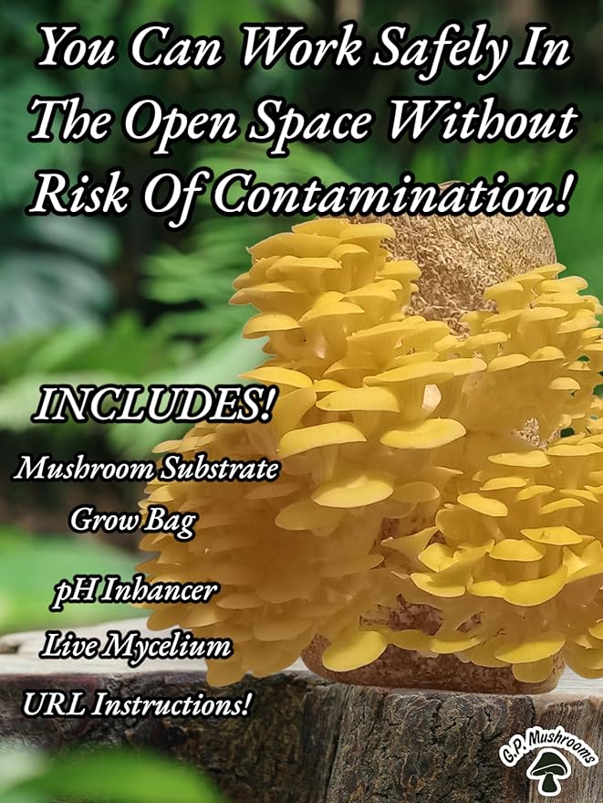 Two 5lb Oyster Mushroom Grow Kits with Live Mycelium Blue and Florida Oyster Varieties Complete Indoor Cultivation Set