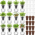 12 Set Hydroponic Garden Mason Jar Kit Self Watering Herb Hydroponic Planter Starter Kit with Net Pot Garden Flower Plant Growing Gift for Indoor Herbs Windowsill Gardening