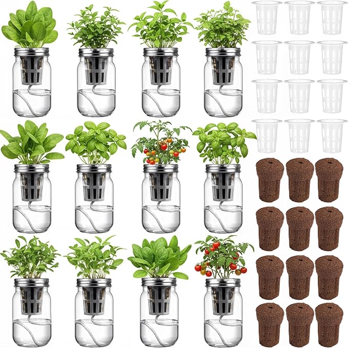 12 Set Hydroponic Garden Mason Jar Kit Self Watering Herb Hydroponic Planter Starter Kit with Net Pot Garden Flower Plant Growing Gift for Indoor Herbs Windowsill Gardening