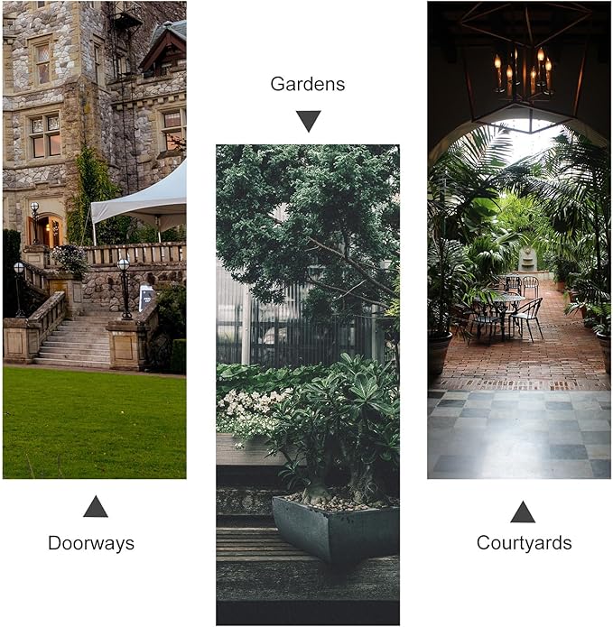 VILLCASE Garden Climbing Trellis for Potted Plants Black Metal Plant Support Rack 25cm Diameter X 120cm Height Indoor Outdoor Climbing Vine Holder for Small Gardens