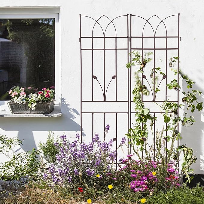 2 Pack Rust-Resistant Metal Garden Trellis for Climbing Plants - Brown