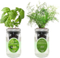 2-Pack Hydroponic Mason Jar Herb Garden Kit Indoor Herb Garden Self-Watering Starter Kit (BasilDill)