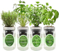 Hydroponic Mason Jar Organic Herb Seed Starter Kits - Mediterranean Herb Mix Growing Kits Windowsill Herb Garden Gardening Gift (Rosemary Cilantro Oregano Basil)