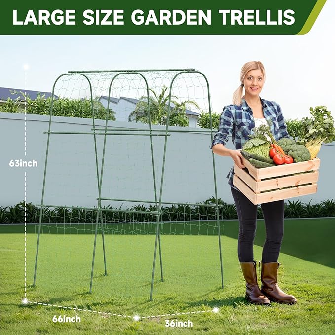 HIRALIY Cucumber Trellis for Climbing Plants Outdoor 5.25ft Tall Heavy Duty Metal Garden Arch Trellis Rustproof Plant Support Tunnel for Tomato Grape Bean Raised Bed and Vegetable Gardens Green