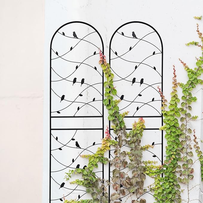4 Pack Large Garden Trellis Heavy Duty Rustproof Iron Plant Trellis for Potted Plant Support Metal Climbing Rose Trellis Vine Vegetable Cucumber Black -71 H x 19.7 W