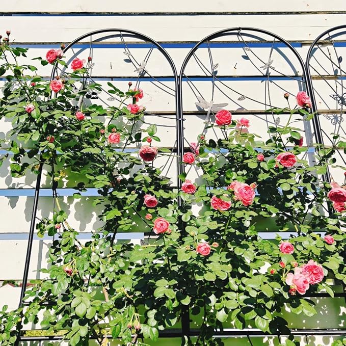 Sturdy Metal Garden Trellis for Climbing Plants – Rust-Resistant Outdoor Flower Support with Decorative Dragonfly Design (2 Pack-H86'')