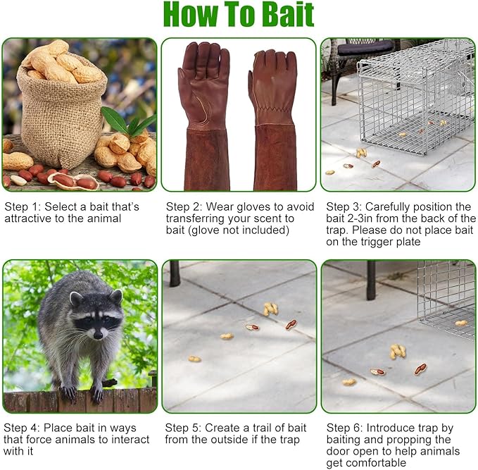 35.43 Live Animal Cage Trap with Gloves Collapsible Heavy Duty Humane Cat Catch Release Rodent Cage Trap Cage for Raccoons Beavers Groundhogs Foxes Armadillos Stray Cat