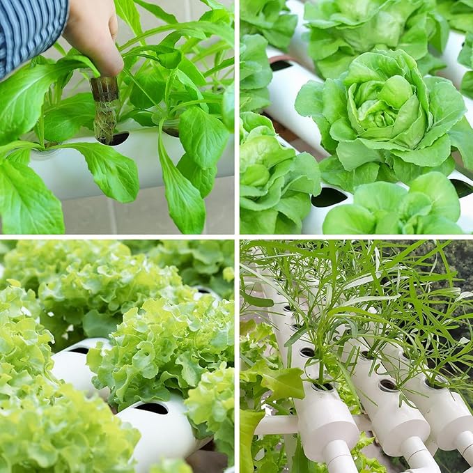 Hydroponics Growing System Kit Aquaponics Growing System3 Layers/108 Sites Food PVC Pipes Planting Vegetables Garden Tools for VegetablesFruitsPlant(Upgraded Version)