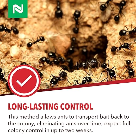 Dominant 1% Liquid Ant Bait Borax-Based Formula Attracts and eliminates Sweet-Feeding Ants Effective for Large and Multi-Queen Colonies Indoor and Outdoor Use 1 Quart