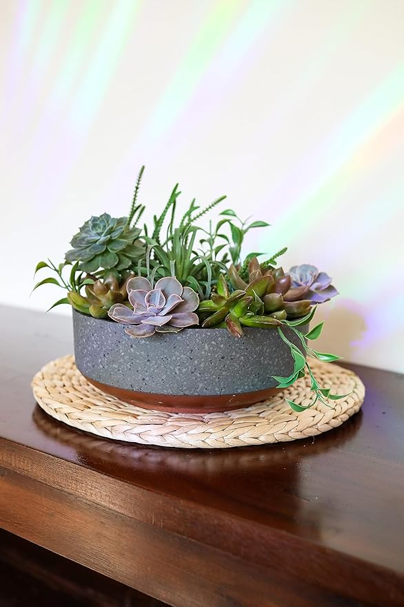 The HC Companies 8 Inch Round Plastic Succulent Capri Bowl Decorative Indoor Flower Succulent Planter Pot with Drain Plug Hole Faux Concrete Color with Copper Bottom Color (2 Pack)