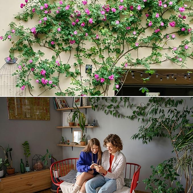 Trellis for Climbing Plants Indoor &amp Outdoor Pothos Plant Climber Support with Connect-Hooks18pcs DIY House Plant Accessories for Ivy Hoya Pothos FlowerGarden Plant Wall Trellis Gift - Hexagons