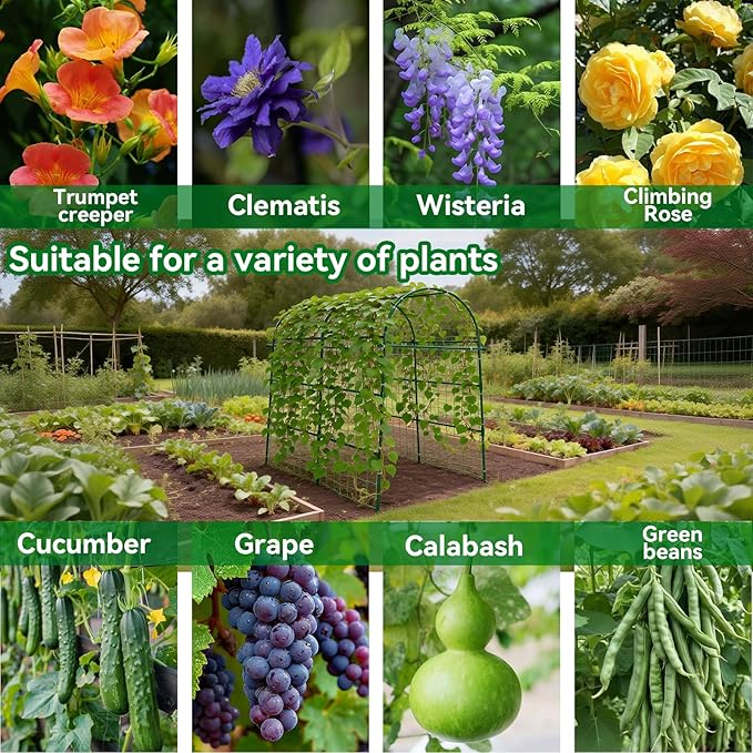 Garden Arch Trellis for Climbing Plants Outdoor - 83 H*71 W*43 L Large Rustproof Garden Trellis Heavy Duty Grape Trellis Tunnel Trellis for Melons Pumpkins Cucumbers Peas(Green)