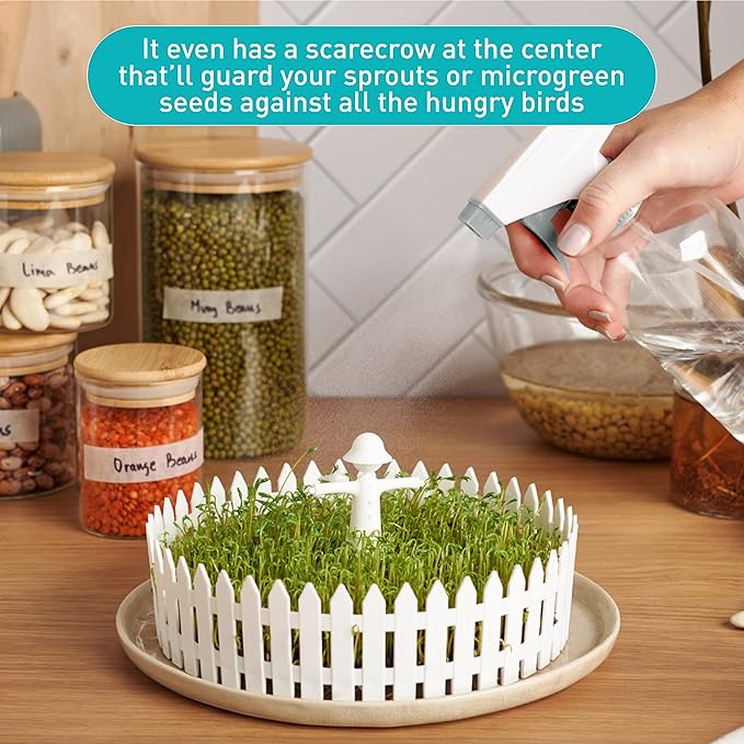 PELEG DESIGN Seed Field Seed Starter for Kitchen Use Indoor Seedling Tray w/Fence and a Scarecrow Fits Any Plate Ideal for Any Sprouting Seeds