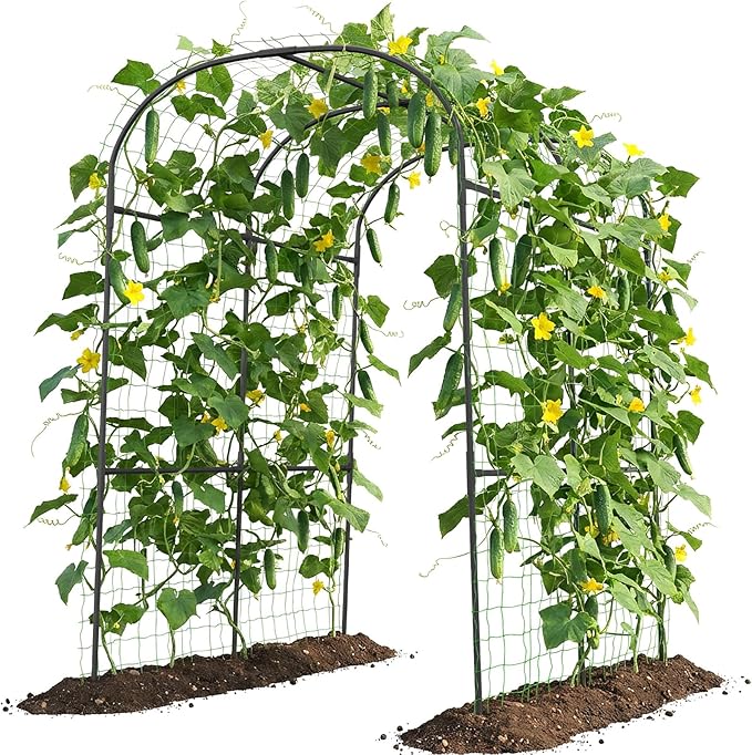 Tall Garden Arch Trellis for Climbing Plants 83in Tall Metal Plant Support Trellis Archway for Climbing Plant Vegetables Cucumber Outdoor Yard Lawn Garden Arch Tunnel Trellis