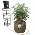 Grow Tent Drip Irrigation System - Blumat Watering Kit for 1 Extra Large Pot (30-90 Gallon) - Automatic Grow Tent Watering System with Efficient Preset Blumat Sensors (Bucket not Included)