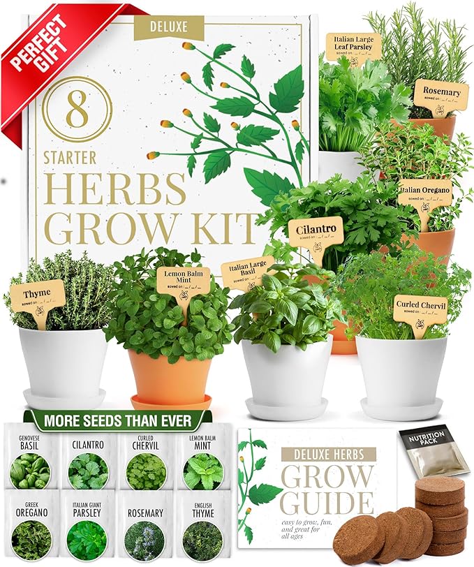 HOME GROWN Gift Herb Kit – 8 Herb Seeds Set with Basil Cilantro Mint &amp More Complete Indoor Grow Kit for Kitchen Gardening Gifts for Women &amp Men Ideal for Cooking &amp Home Décor
