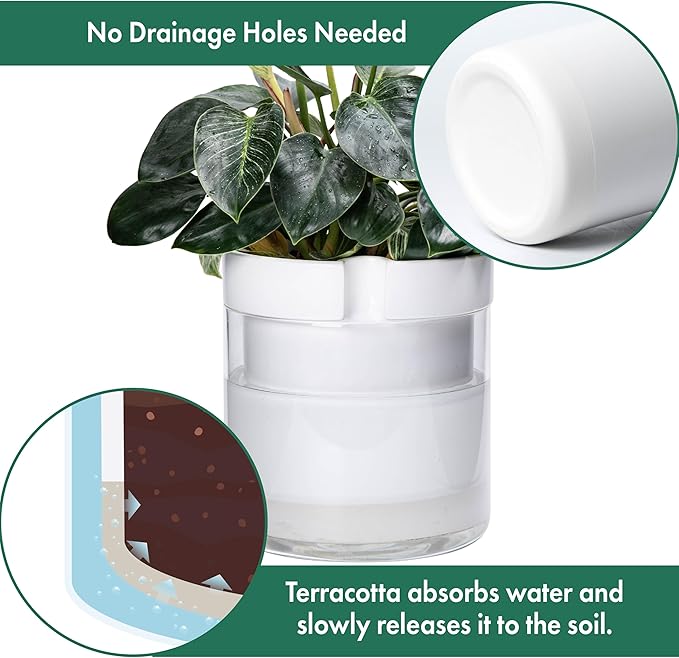 Phoenix Vine 10 Inch Self Watering Planter White Terracotta Clay Pot with Glass Reservoir for Indoor Plants Herbs Flowers Set of 1 52-B-I-1