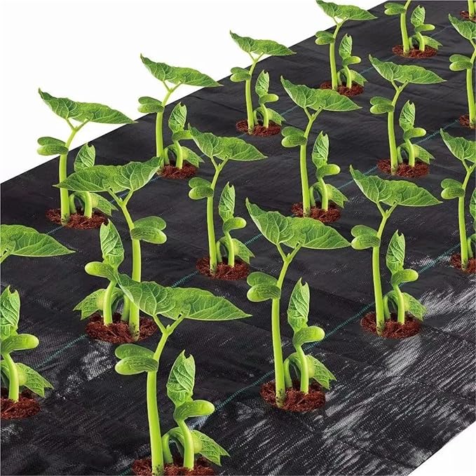 Weed Barrier Fabric 3 Ft. X 12 Ft. 3.0 Oz. Weed Block for Raised Bed Outdoor Garden Weed Rugs Garden Mat Planting Hole 4 in. Dia for Gardening