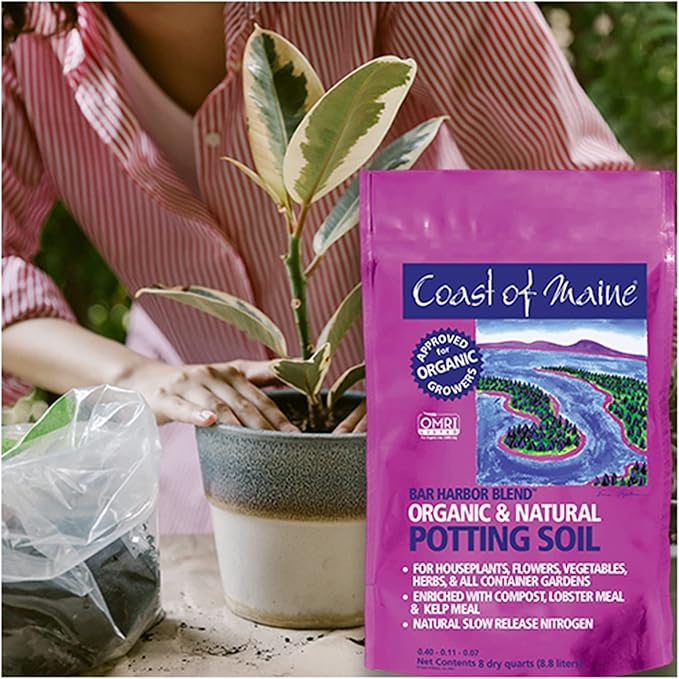 Coast of Maine Bar Harbor Blend 8qt (Pack of 4) Organic and Natural Potting Soil for Houseplants Flowers Vegetables Herbs and Containers