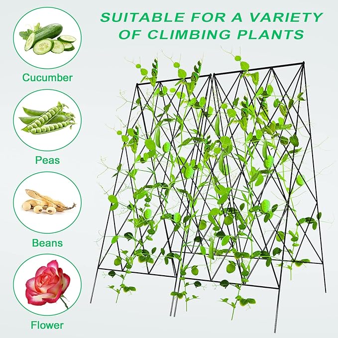 DoCred Cucumber Trellis 2 Pack Metal Foldable A Frame Garden Trellis for Raised Bed Climbing Plants Vegetables Includes Plant Support Clips Twist Ties Plastic Ties A Frame Trellis Black