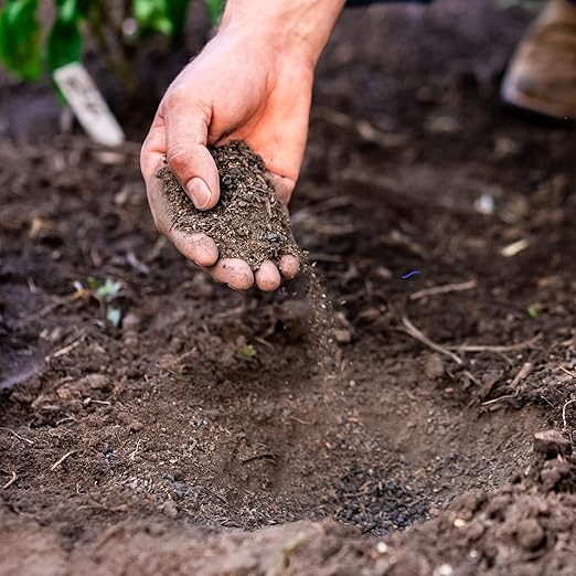 Organic Fertilizer Biochar Activated with Chicken Manure Indoor Outdoor Plant Food Kid and Pet Safe No Odor for Soil Flowers Potted Plants Raised Beds Vegetable Garden Compost 10 lb