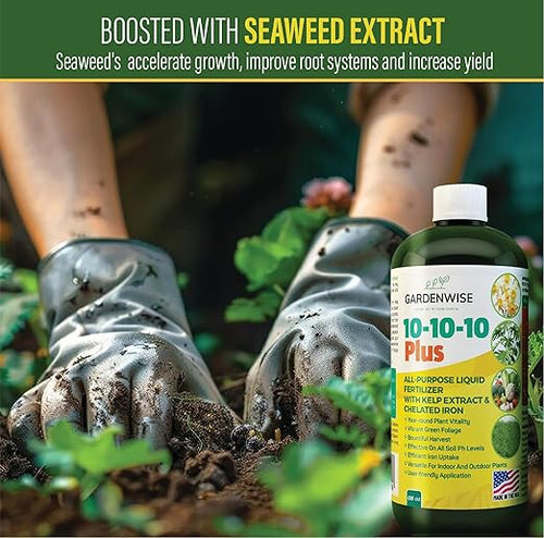 10-10-10 &amp 6-4-6 Avocado and Citrus Tree Professional Fertilizer for All Purpose Plants - Liquid Fertilizer with Seaweed Kelp &amp Iron - Orange Lime Avocado &amp Lemon Tree (8oz &amp 1/2 Qt)