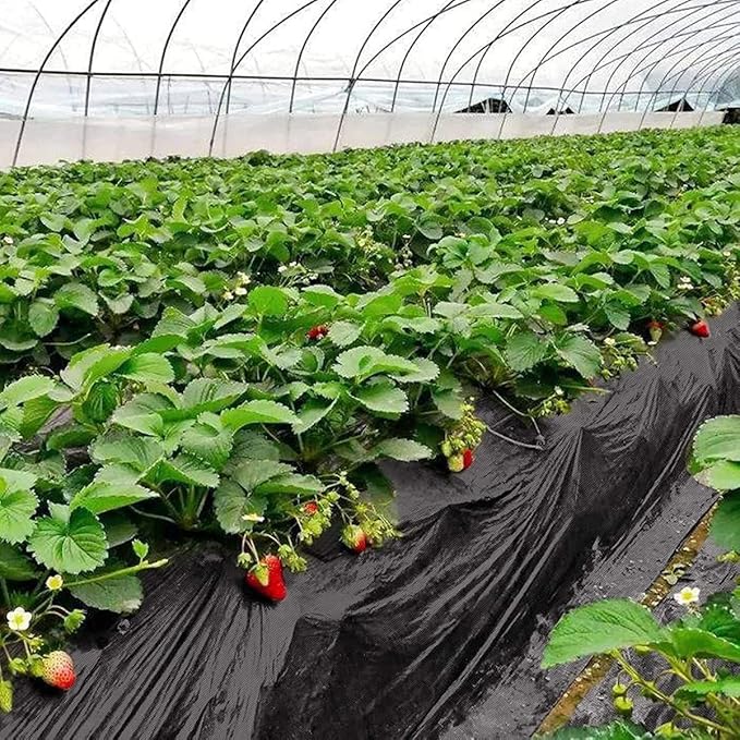 Weed Control Film Weed Barrier Fabric Geotextile Landscape Fabric for Garden Plant Mulch Membrane(0.9 * 200m)