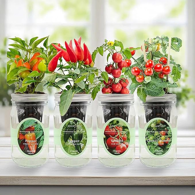 Hydroponic Herb Growing Kit Set Self-Watering Mason Jar Herb Garden Starter Kit Indoor Grow 4 Kinds of Herbs from Seeds (2 Tomato &amp 2 Pepper)