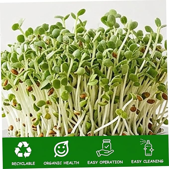Sprouting Jars Sprouting Jar Kit Complete Seed Jar Kit with Stainless Steel Stand &amp Drip Tray Easy Home Sprout for Microgreens Beans Broccoli
