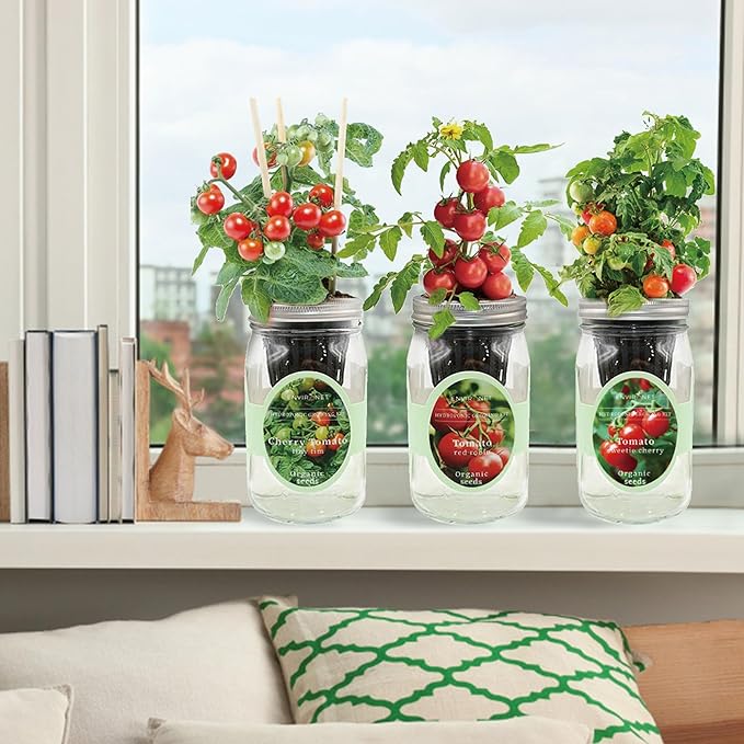 Hydroponic Mason Jar Indoor Garden Organic Seed Starter Kits - Tomato Trio Garden Growing Kits Gardening Gift (Red Robin Tomato Cherry Tomato - Tiny Tim Sweetie Cherry Tomato)