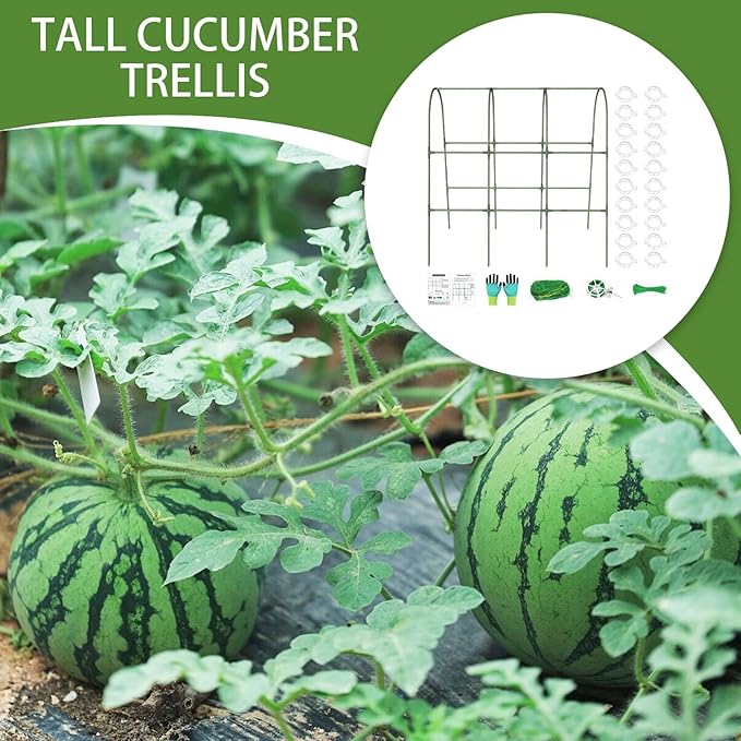 Cucumber Trellis | Garden Metal Cucumber Trellis | Heavy-Duty Metal Arch Plants Supports for Greenhouse Pumpkins Eggplants Peas Cultivation