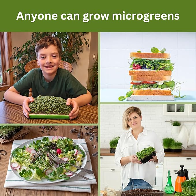 Complete Home Microgreens Kit - Indoor Garden System - Includes 2 Sets of Reusable Trays Spray Mister 2 pkgs of Hydroponic Growing Medium Organic Radish and Broccoli Seeds