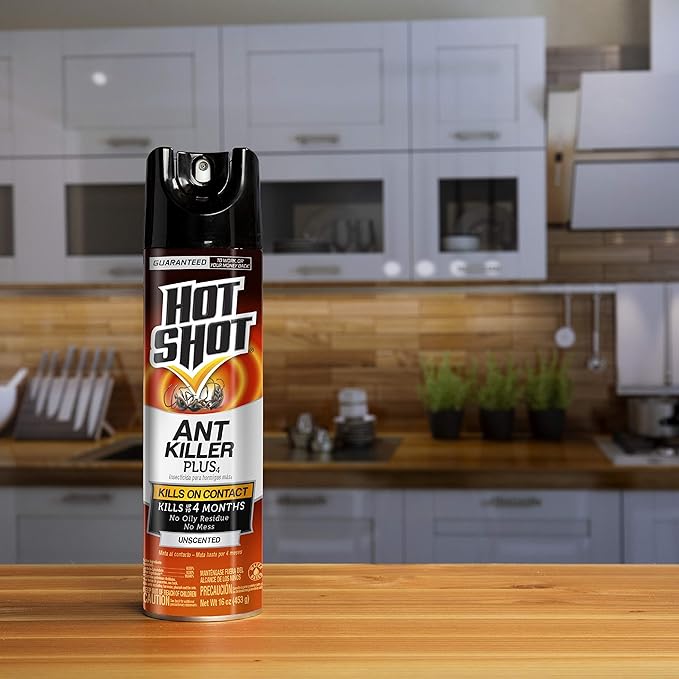 Hot Shot Ant Killer Plus Aerosol Unscented Kills On Contact 12 Pack
