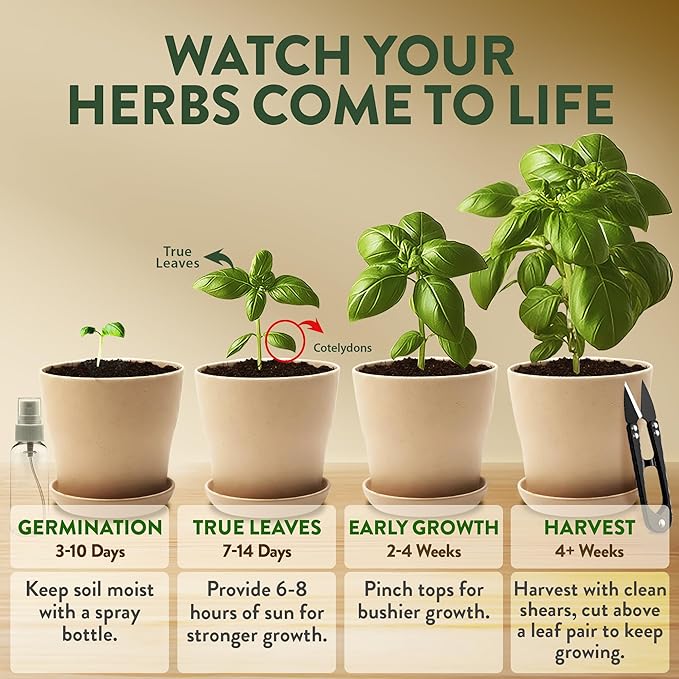 HOME GROWN Herb Garden Planter Indoor Kit – Unique Christmas Gift for Adults Men &amp Women - Grow 4 Heirloom Herb Seeds on Kitchen Window – Beginner DIY Craft &amp Hobby Gardening Gift for Plant