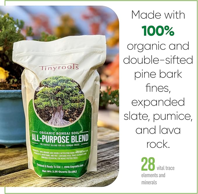 Tinyroots Bonsai Soil Plus a Three Pack of Six-Inch Training Bonsai Pots