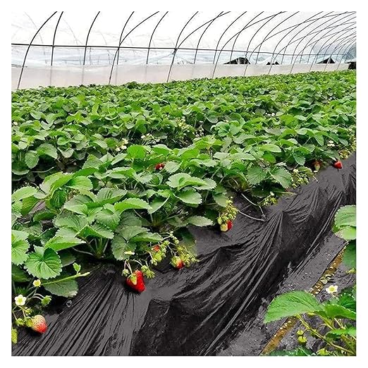 Driveway Fabric Weed Barrier Fabric Weed Control Film Barrier Fabric for Garden Plant Mulch Membrane(0.9 * 200m)