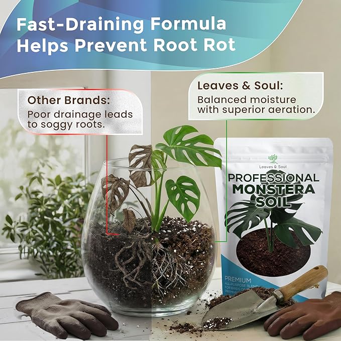 Monstera Plant Soil Premium All Purpose Blend | Extra Large 8.2 Quarts | Ready to Use for Indoor Container and Houseplants | Peat Coco Coir Perlite Dolomite | Made in USA