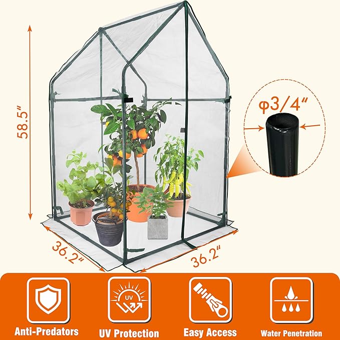 Gardzen Mini Greenhouse with Mesh Cover Portable Outdoor Greenhouse Enhanced Ventilation Ideal for Spring Summer &amp Fall 36.2(L) x36.2(W) x59.5(H)
